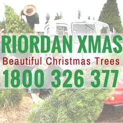 Photo: Riordan Christmas Trees
